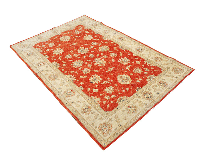 6'x8' Wool Area Rug | Traditional Agra Design Rug