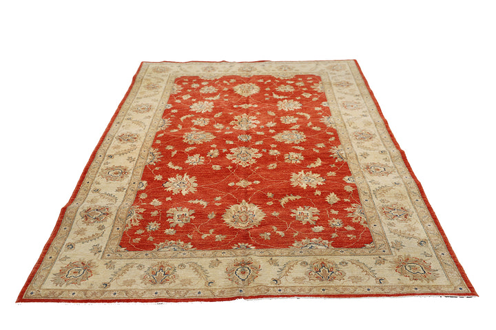 6'x8' Wool Area Rug | Traditional Agra Design Rug