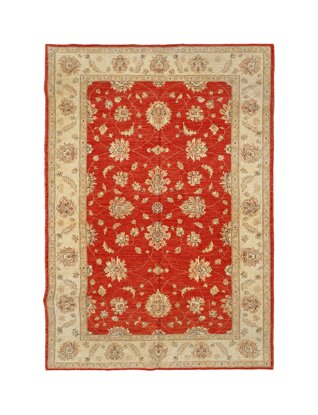 6'x8' Wool Area Rug | Traditional Agra Design Rug