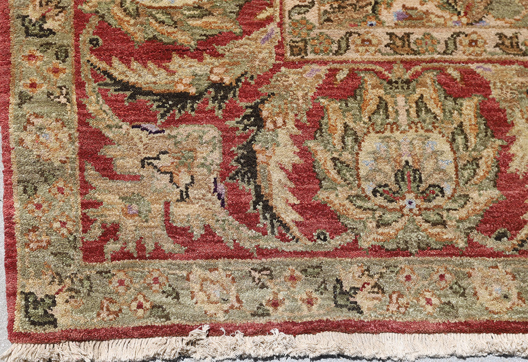 6'x9' New Indian Ziegler Design Rug – Hand-Knotted Agra Style in Green & Red