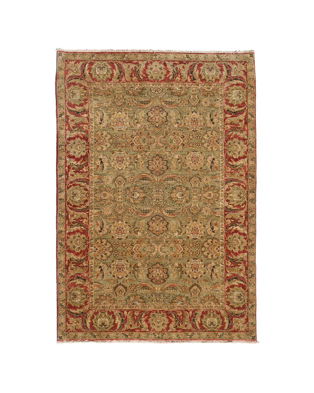 6'x9' New Indian Ziegler Design Rug – Hand-Knotted Agra Style in Green & Red