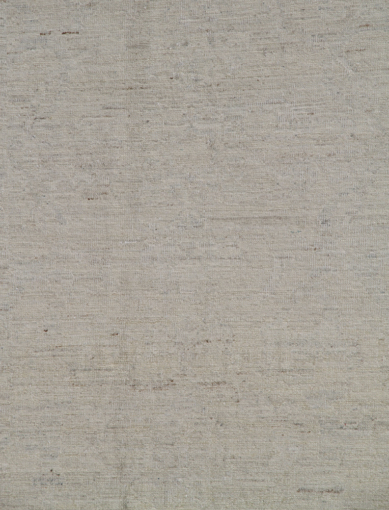 6'x9' Soft Color Ariana Transitional Rug – Subtle, Washed-Out Elegance