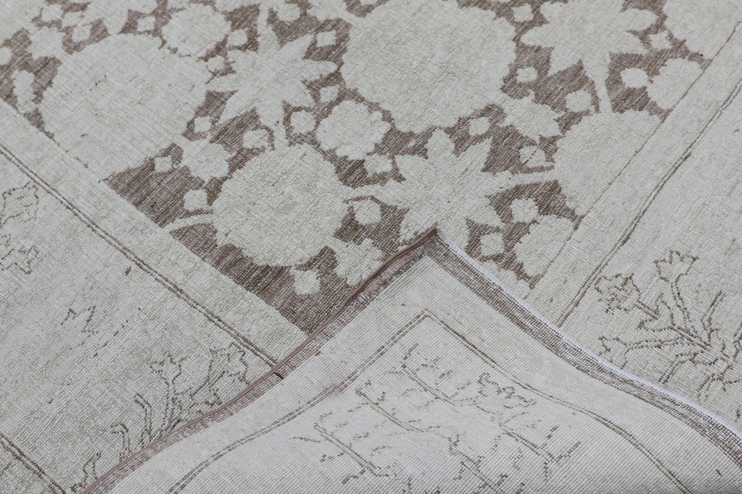 8'x10' Earth-tone Tabriz Haji Jalili style Ariana Transitional Rug