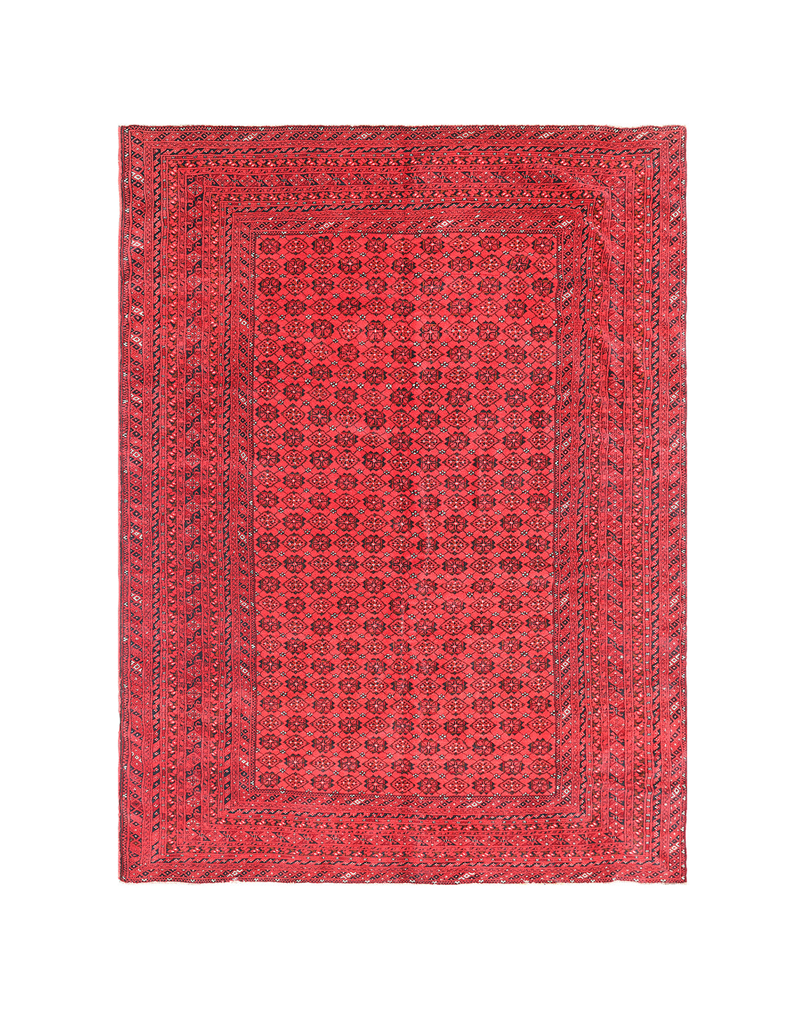 8'x12' Afghan Bashiri Rug – Bold Red Hand-Knotted Treasure – Ariana Rugs