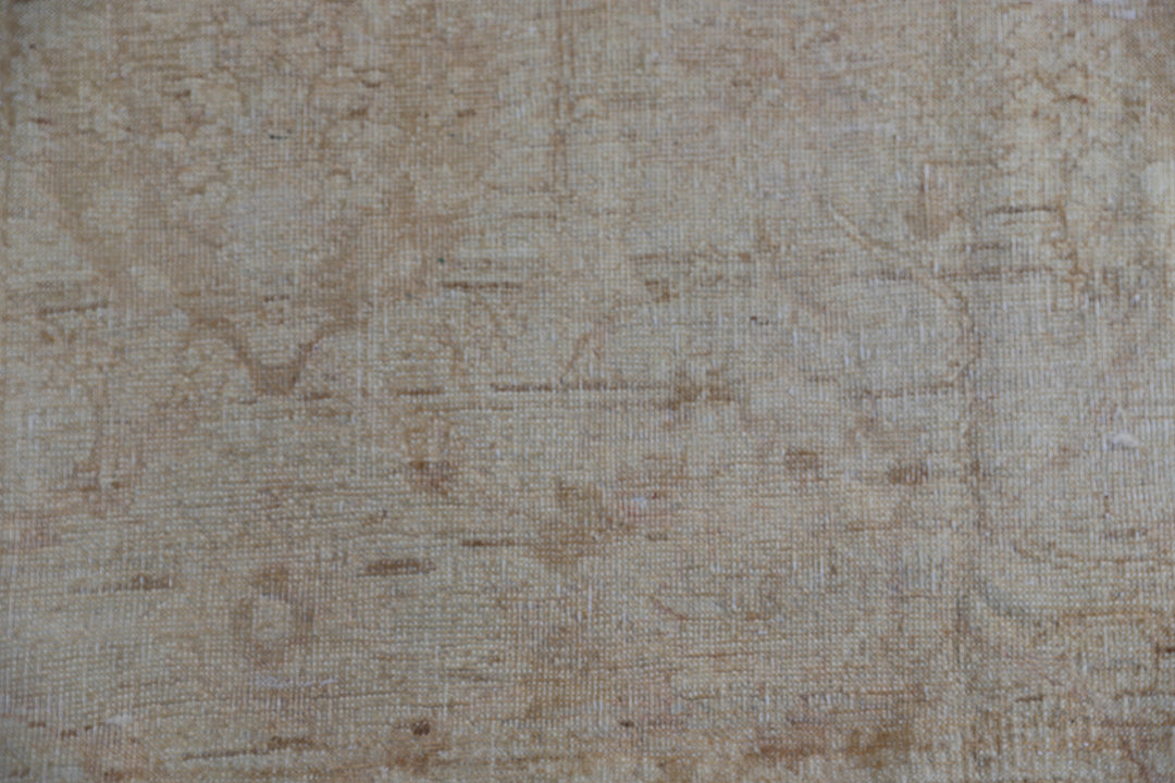 6x8 Ariana Traditional Ziegler Mahal Rug | Soft Floral Afghan Rug