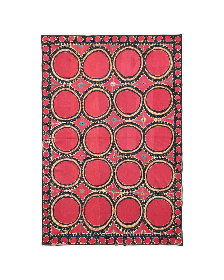 Ariana Rugs 6x9 Tashkent Oi Paliak Suzani Hand-Embroidered Silk Wool Textile