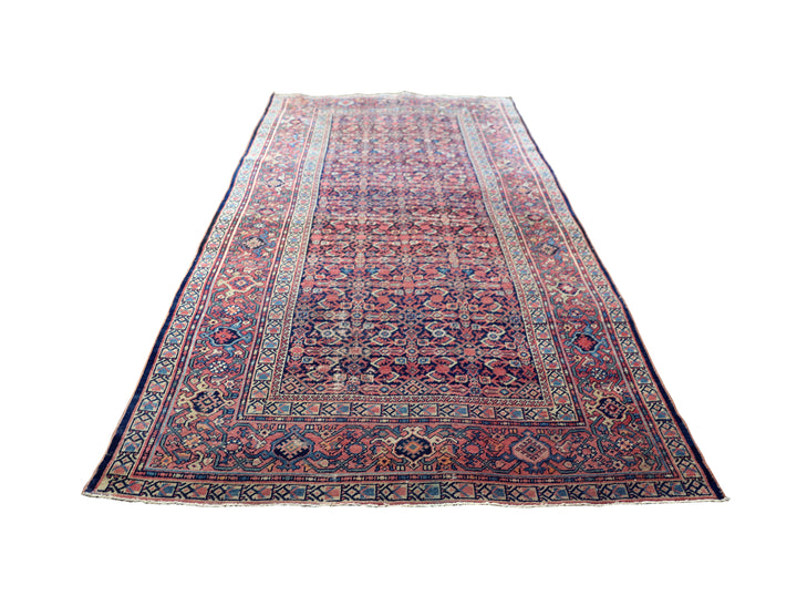 Ariana Rugs – Semi-Antique Persian Malayer Herati Mahi Rug