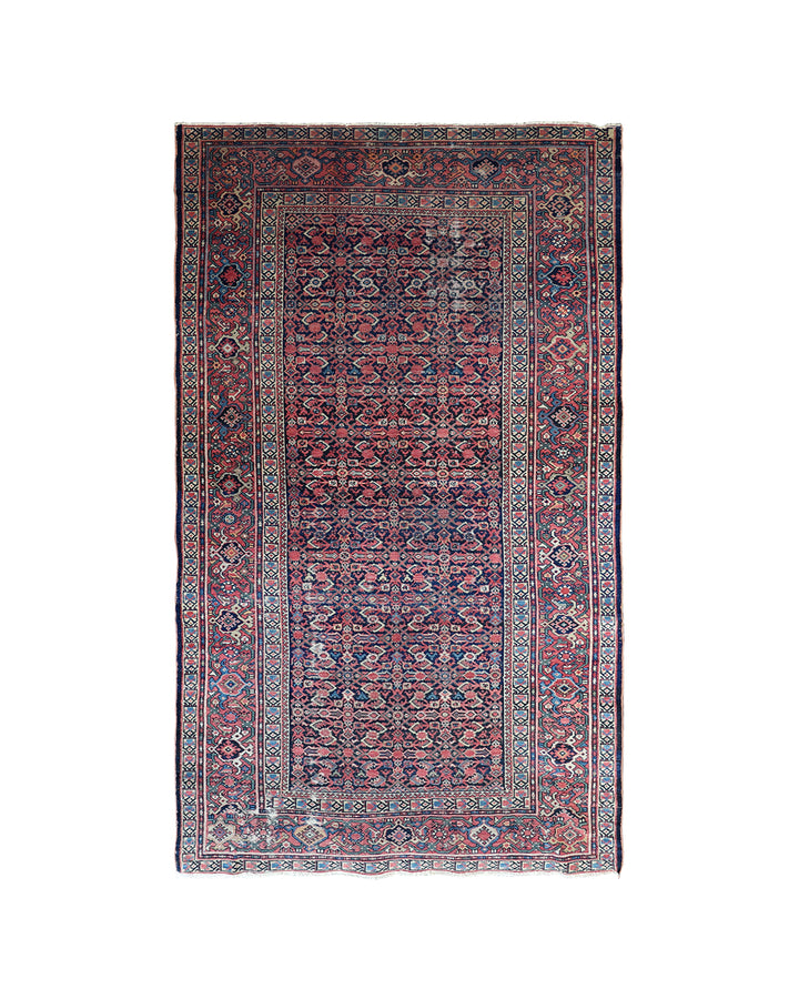 Ariana Rugs – Semi-Antique Persian Malayer Herati Mahi Rug