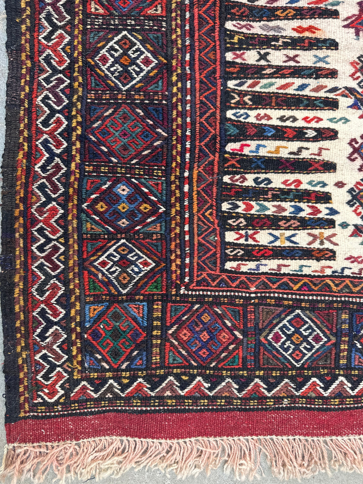 3'x5' East Persian Quchan Baluch Sofreh Kilim