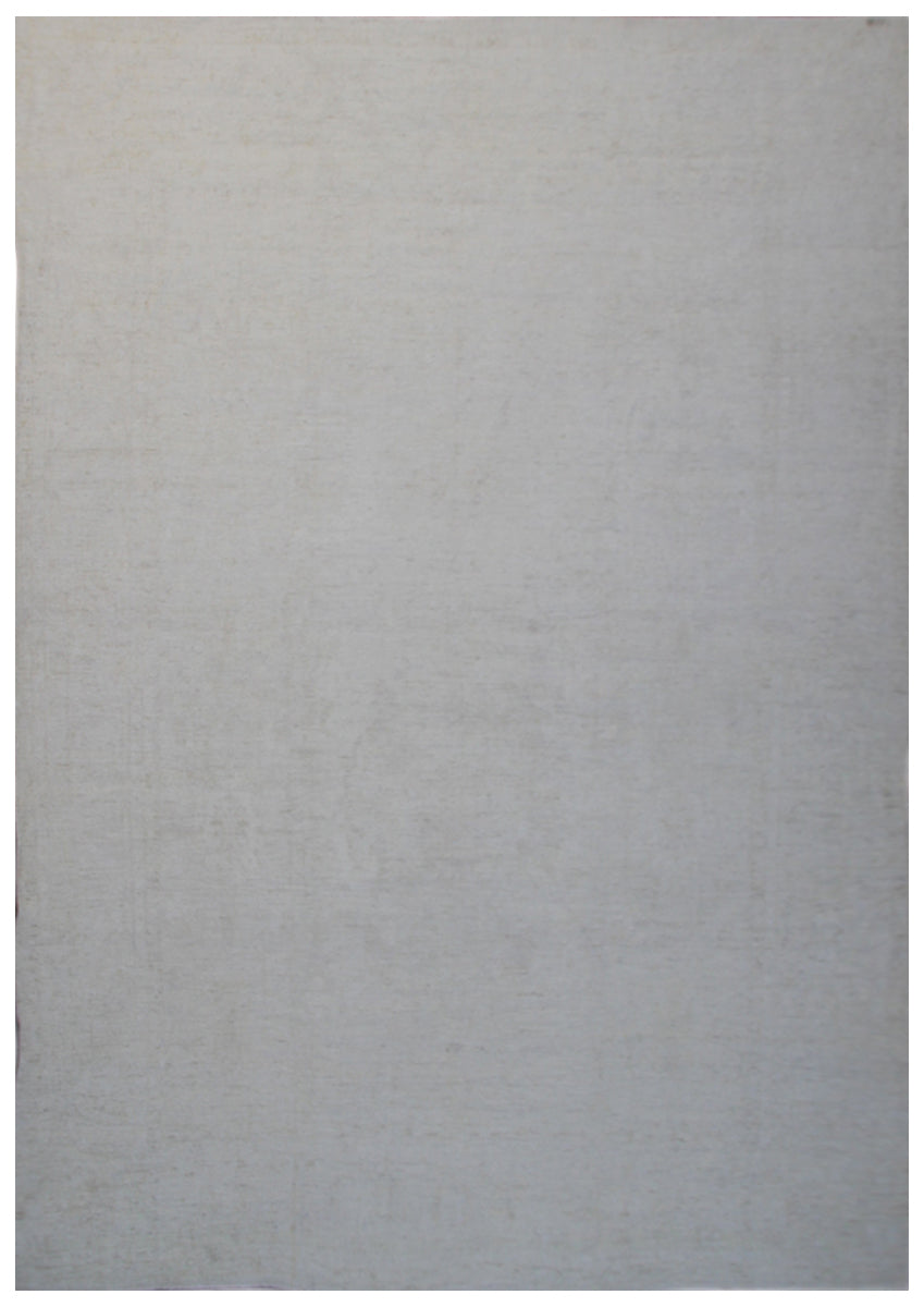 10'x14' Pale Wool Area Rug | Ariana Agra Design Rug