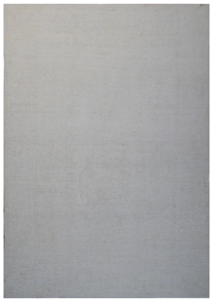 10'x14' Pale Wool Area Rug | Ariana Agra Design Rug