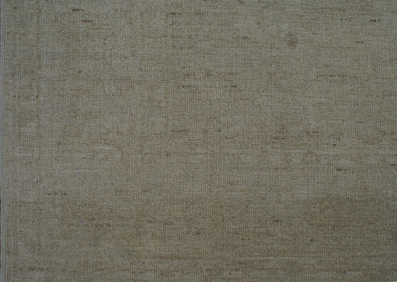 4'x9' Ariana Transitional Earth Tone Wide Hand Knotted Wool Runner Rug