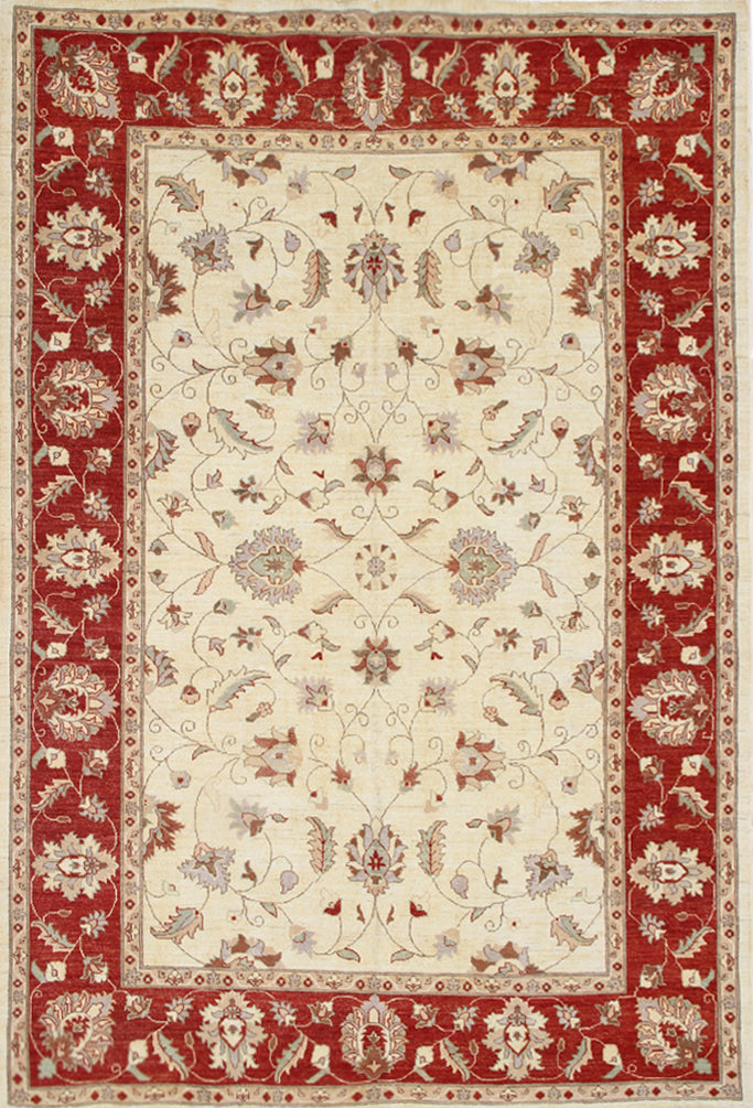 7x10 Classic Agra Design Ariana Traditional Area Rug