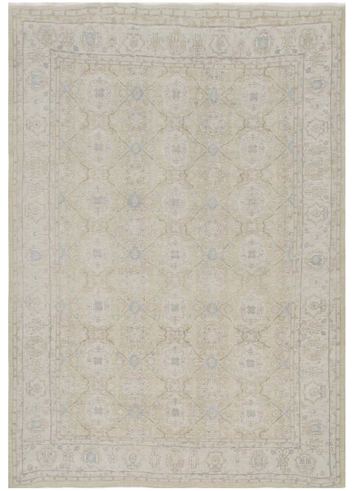 12'x17' Large Wool Rug | Ariana Agra Design Transitional Rug