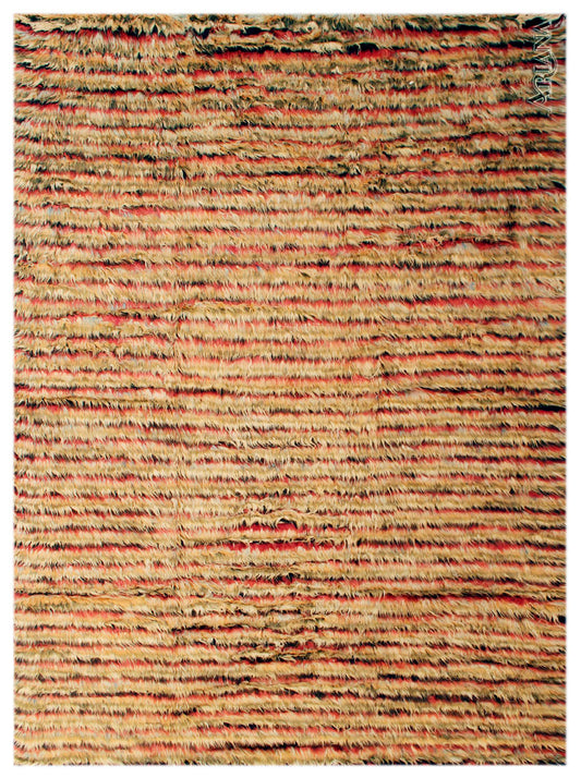 10x14 Ariana Moroccan Style Striped Barchi Rug
