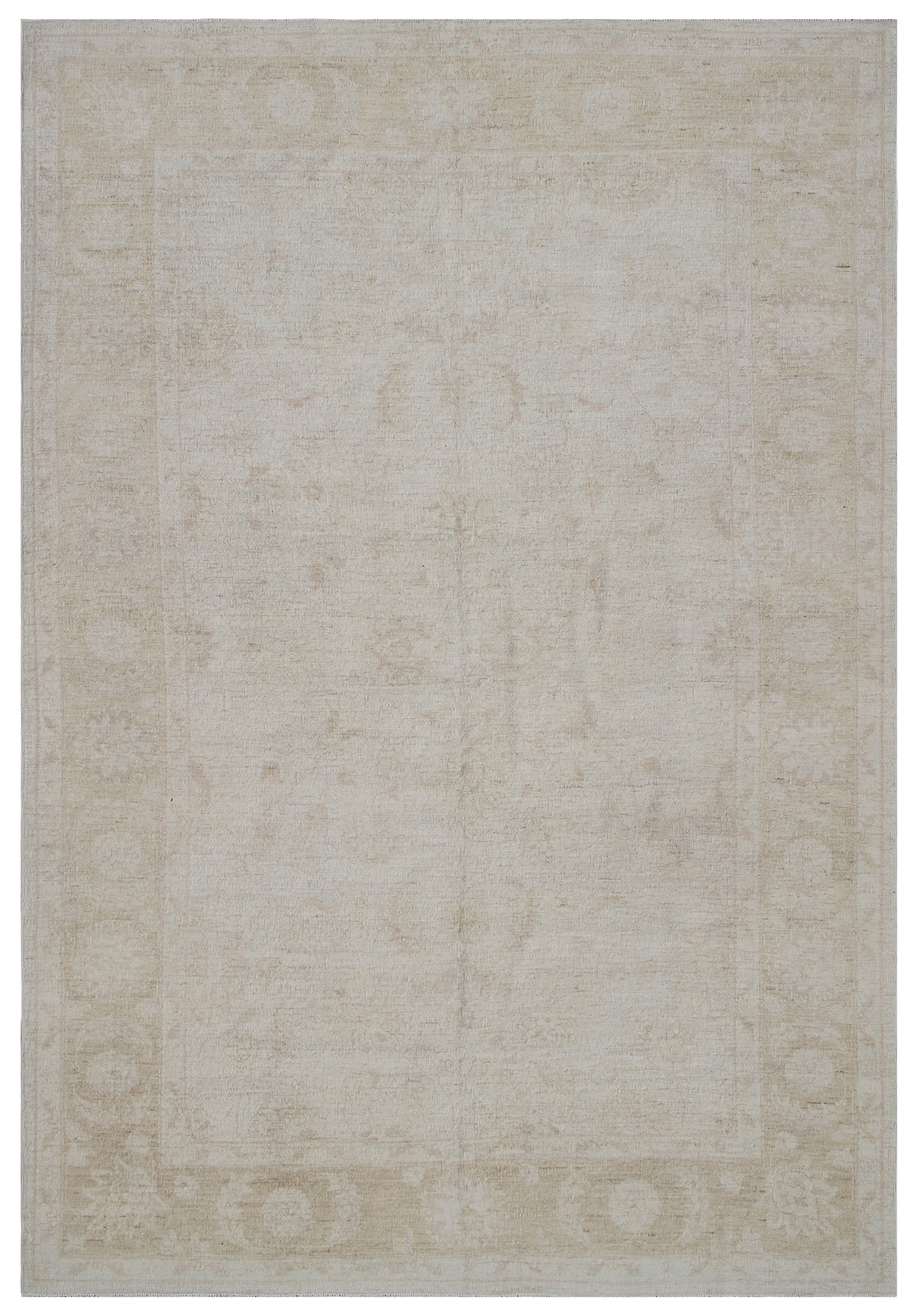6x9 Ariana Transitional Rugs