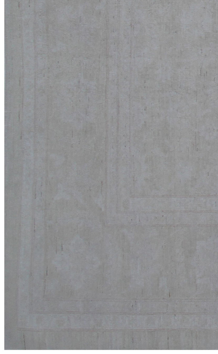 9'x11' Soft Pale Washed-out Ariana Transitional Rug