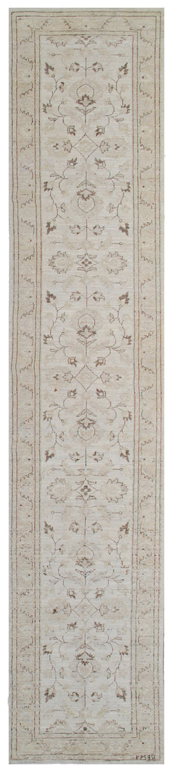 3x14 Ivory Soft Colors Agra Design Ariana Traditional Runner Rug