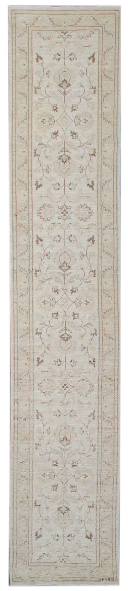 3x14 Ivory Gold Agra Design Ariana Traditional Runner Rug
