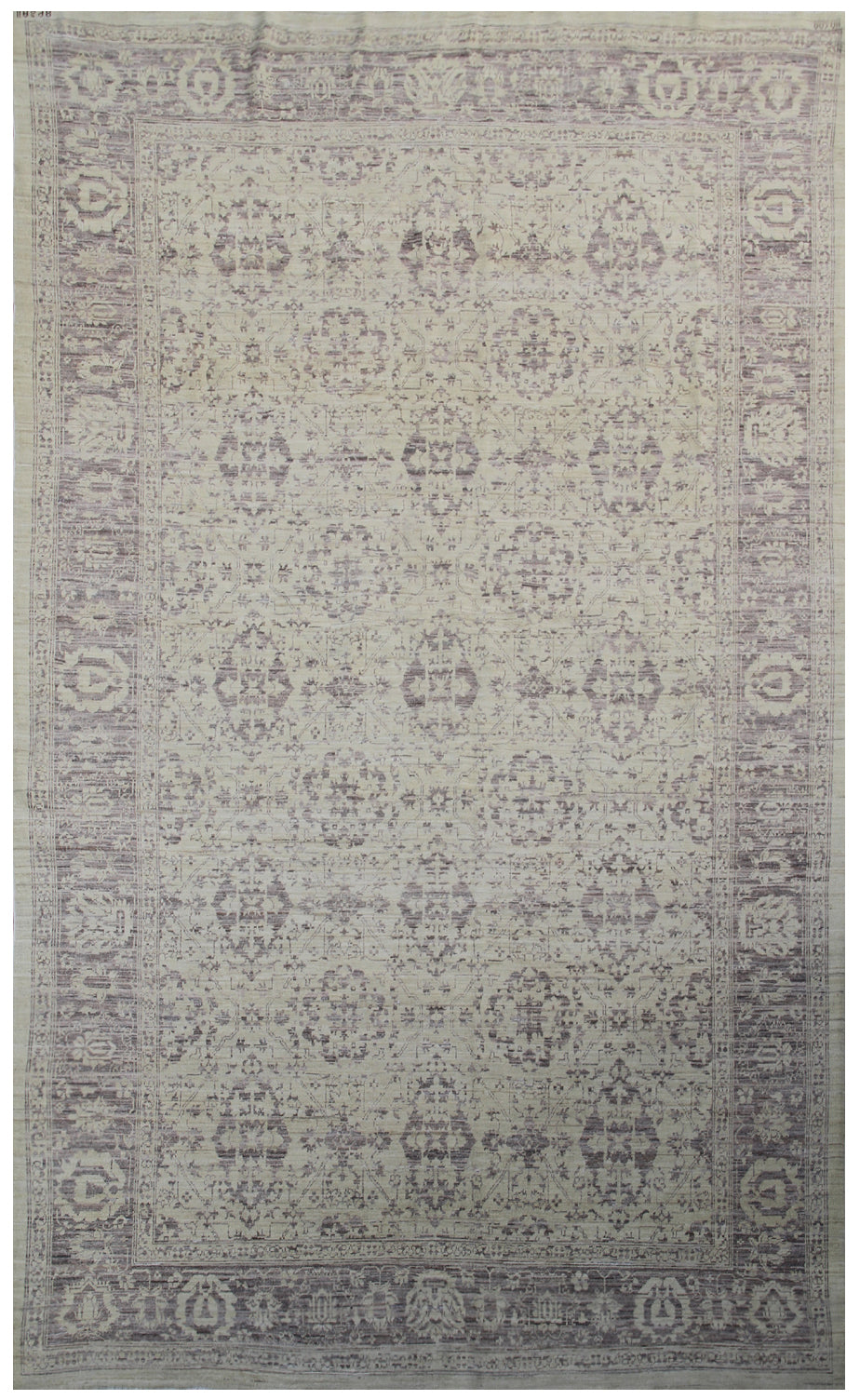 6x10 Soft And Muted Agra Design Ariana Traditional Area Rug