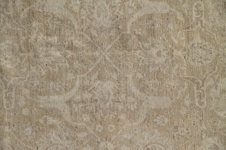 8'x10' Fine Faded Soft Earth Tone Ariana Transitional Area Rug.