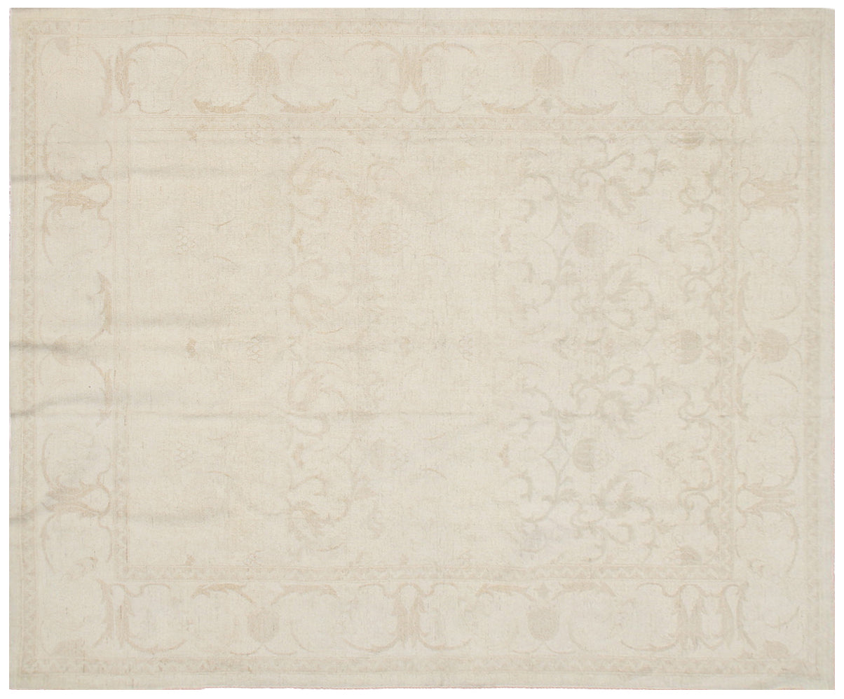 10.00 x 8.00  Polonaise Design Soft Colors and Muted Design Ariana Transitional Area Rug