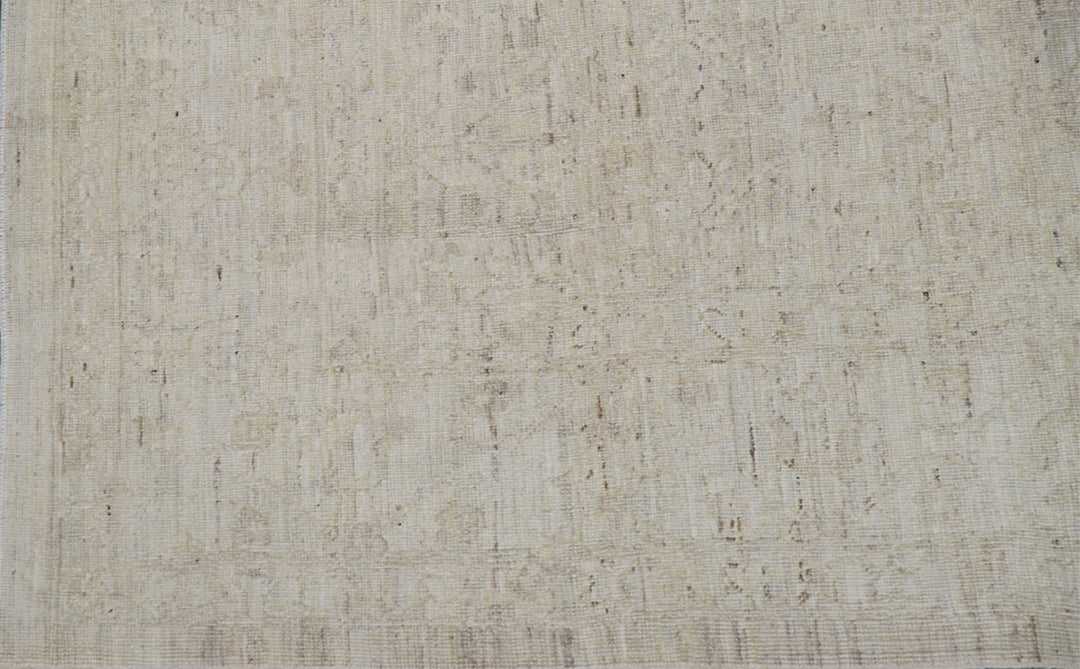 6'x8' Ariana Traditional Washed-out Hand Knotted Wool Rug