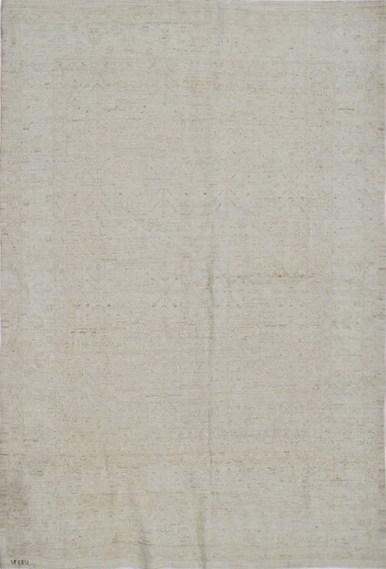 6'x8' Ariana Traditional Washed-out Hand Knotted Wool Rug