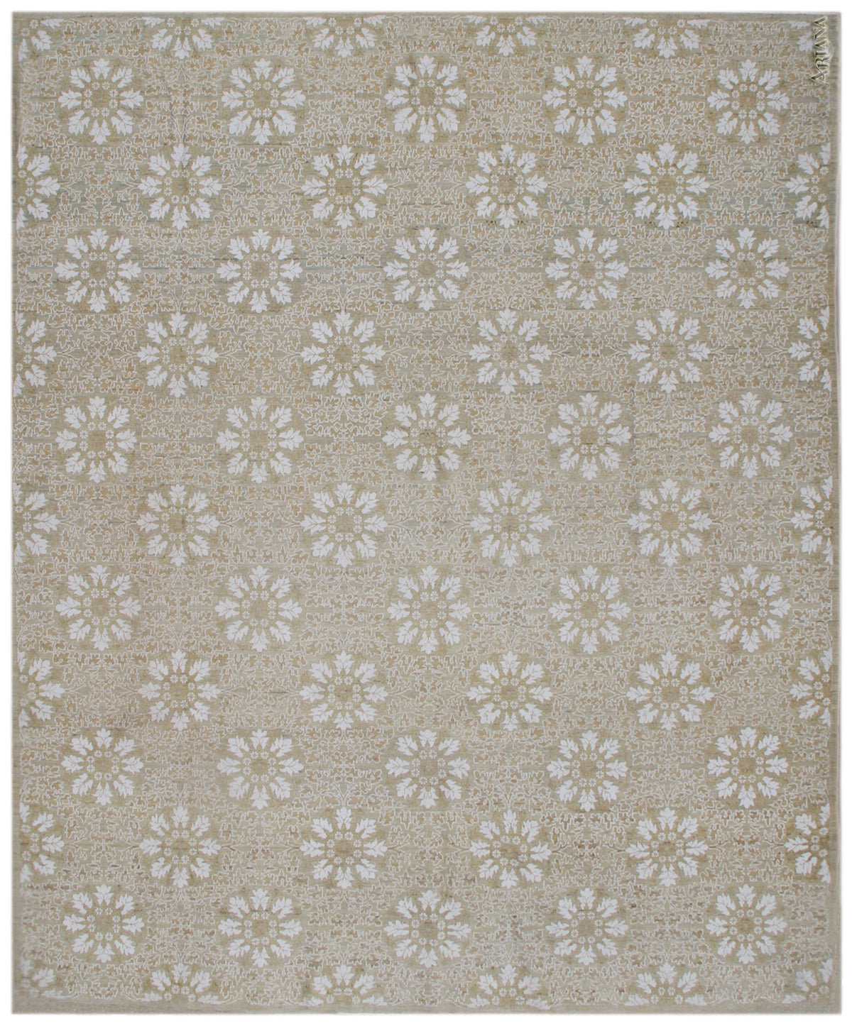 8'x10' Soft Color with Pop of Stark White Ariana Transitional Area Rug
