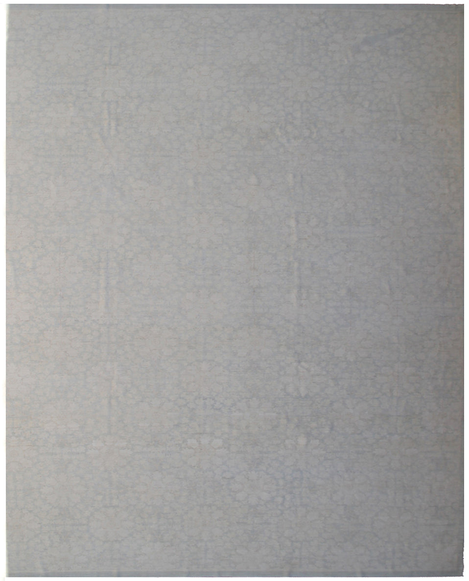10'x13' Pale Gray Blue Ariana Transitional Rug
