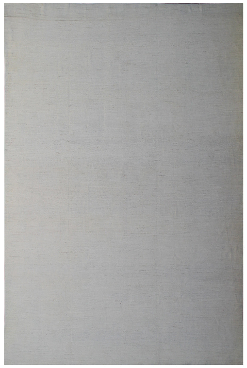 9'x12' Pale Ariana Transitional Rug