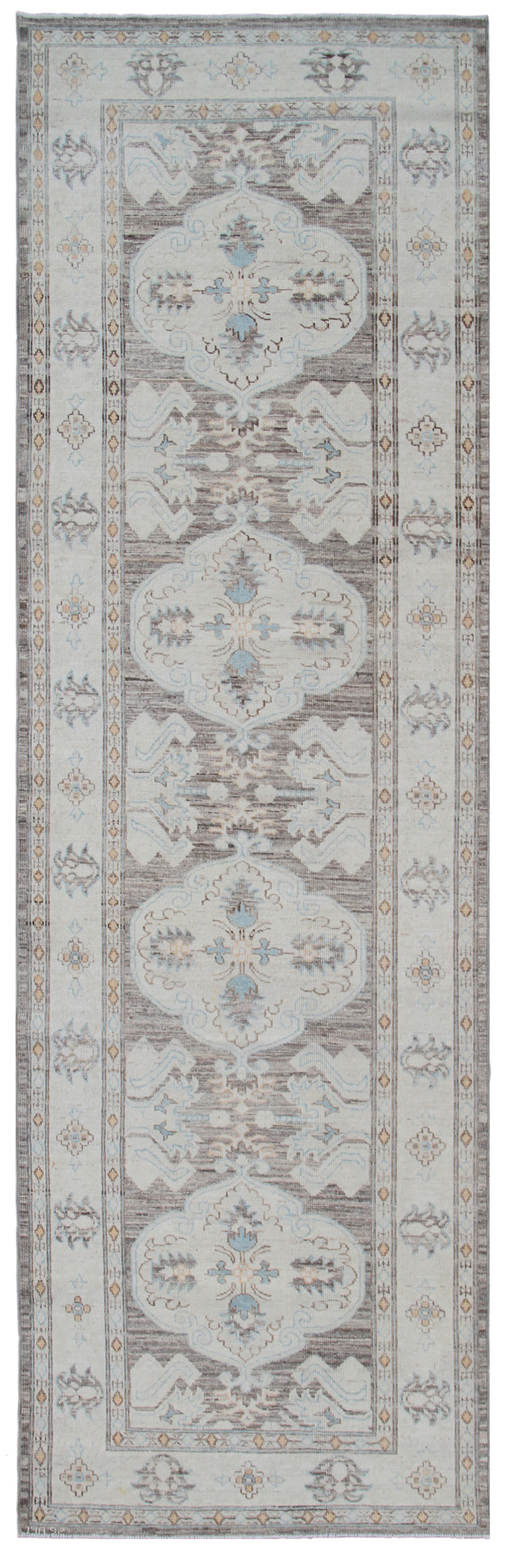 9.03 x  3.02 Ariana Traditional Runner Rug