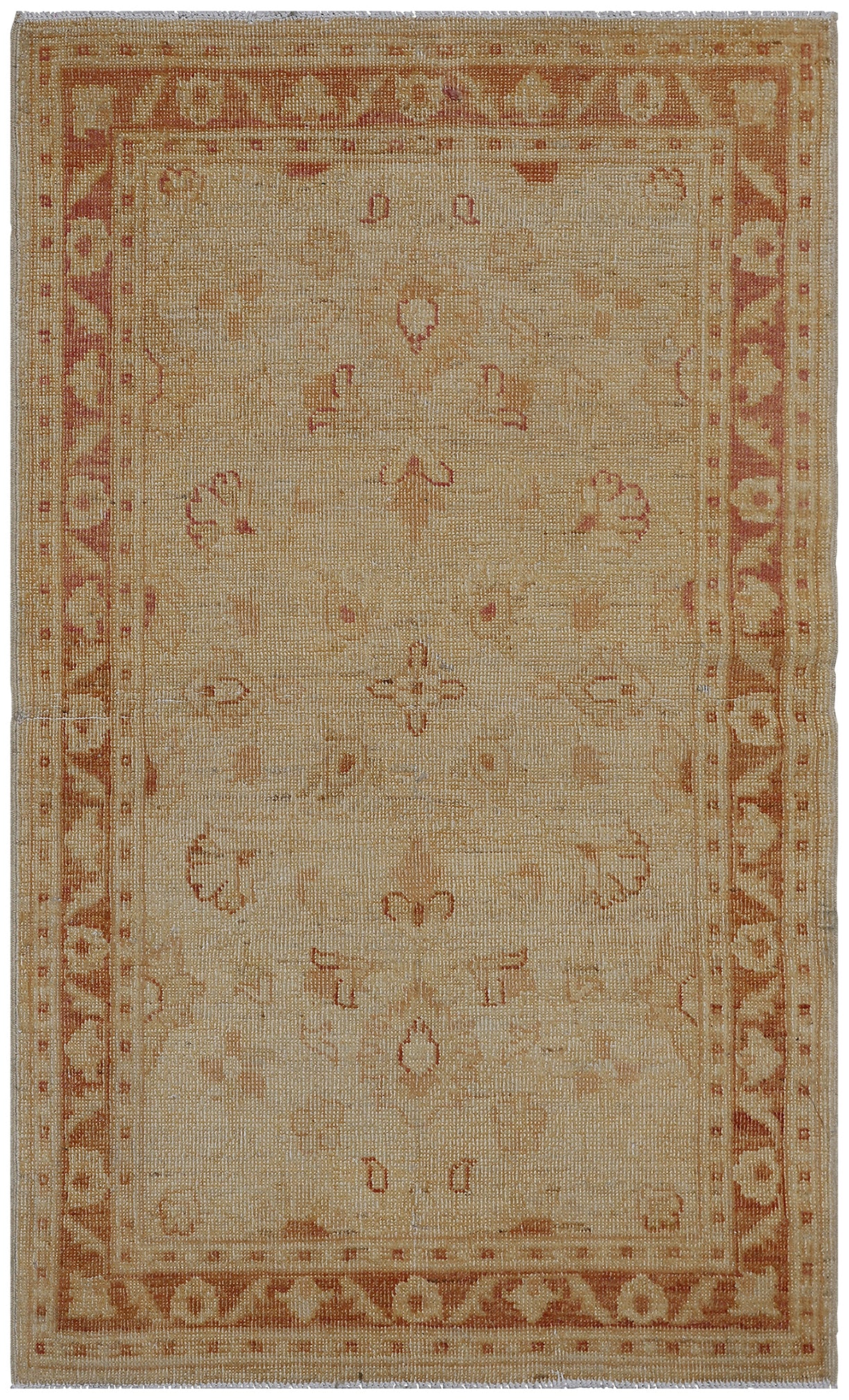 2x4 Agra Design Floral Ariana Traditional Collection Small Rug