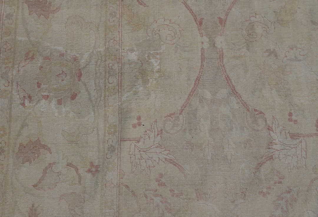 6'x10' Soft Color Palette Silk Polonaise Design Ariana Luxury Area Rug