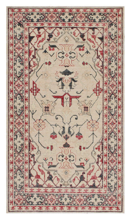4'x6' Ariana Wool Traditional Hand Knotted Small Entry Rug