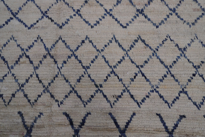 10'x14' Geometric Ariana Moroccan Style Barchi Shag Rug