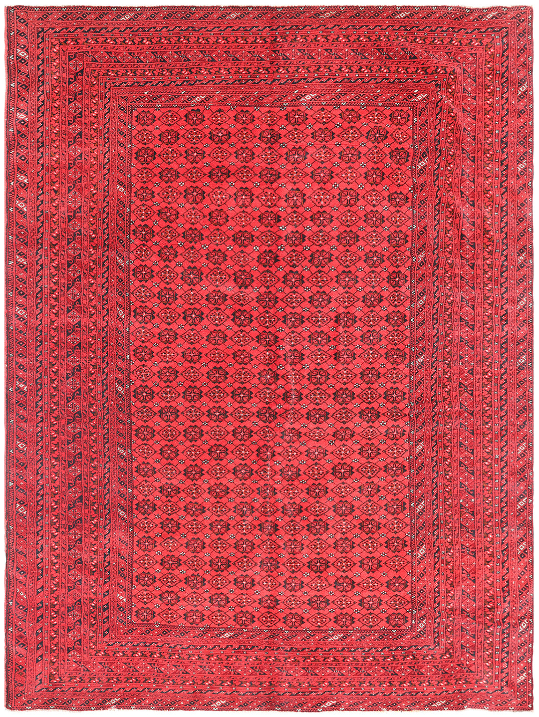 8'x12' Red Afghan Bashiri Rug