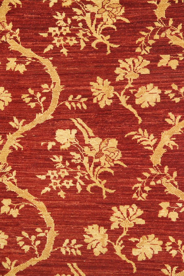 3'x10' Chinese Red French Chinoiserie Design Ariana Traditional Area Runner Rug