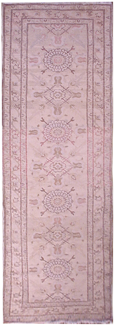 3'x9' Ariana Traditional Hand Knotted Wool Runner Rug