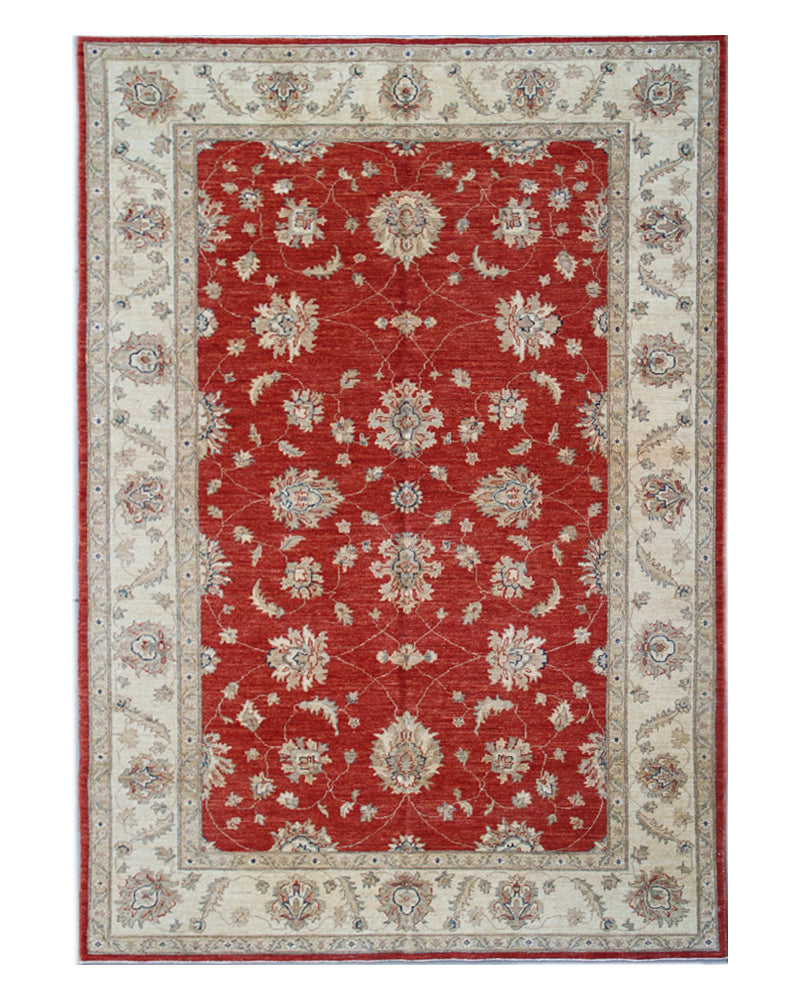 6'x8' Wool Area Rug | Traditional Agra Design Rug