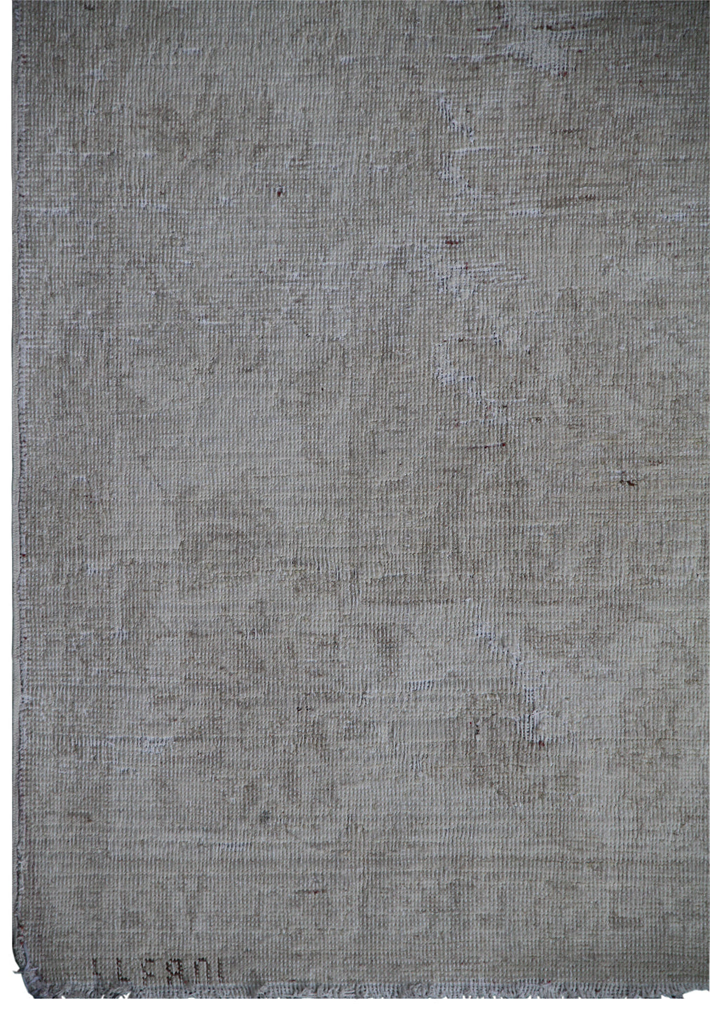 6'x9' Pale Agra Rug | Hand-Knotted Wool | Soft White Vintage Look Rug