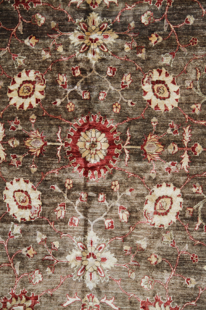 6'x9' Traditional Sultanabad Design Area Rug
