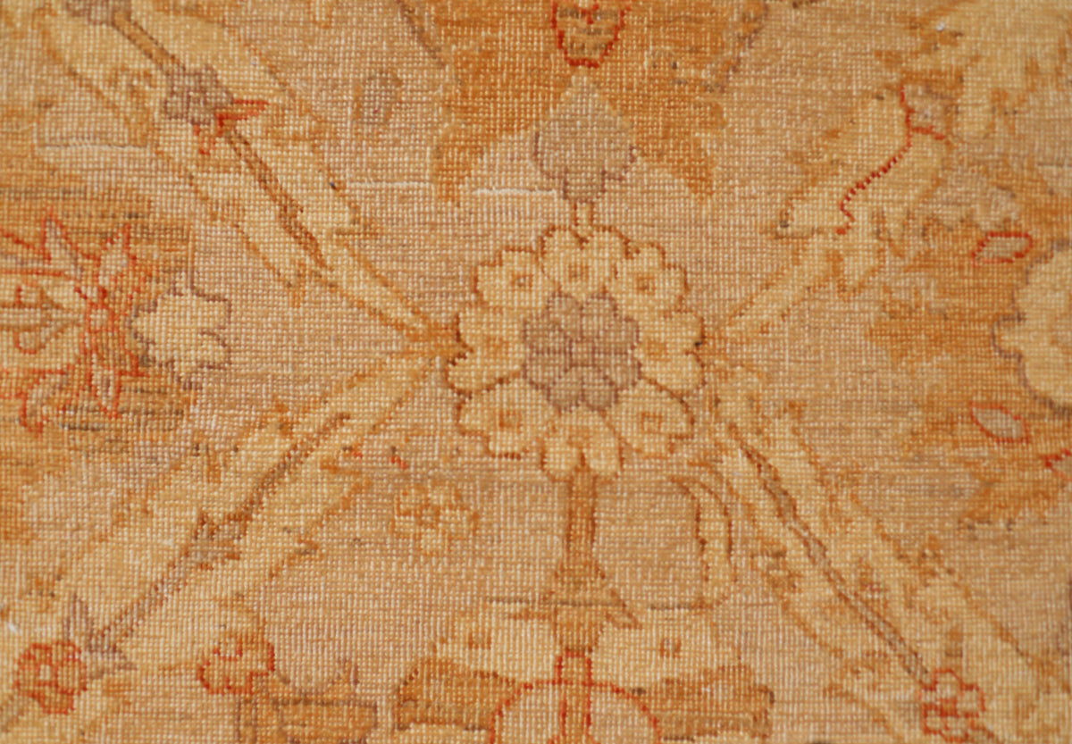 10x14 Ariana Traditional rug
