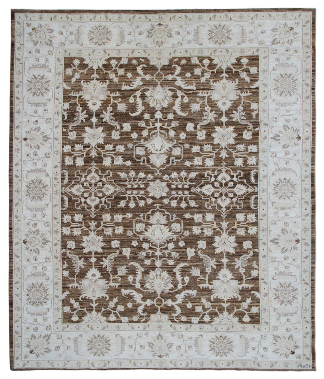 8'x10' Hand-Knotted Afghan Agra Rug | Organic Wool | Transitional Collection