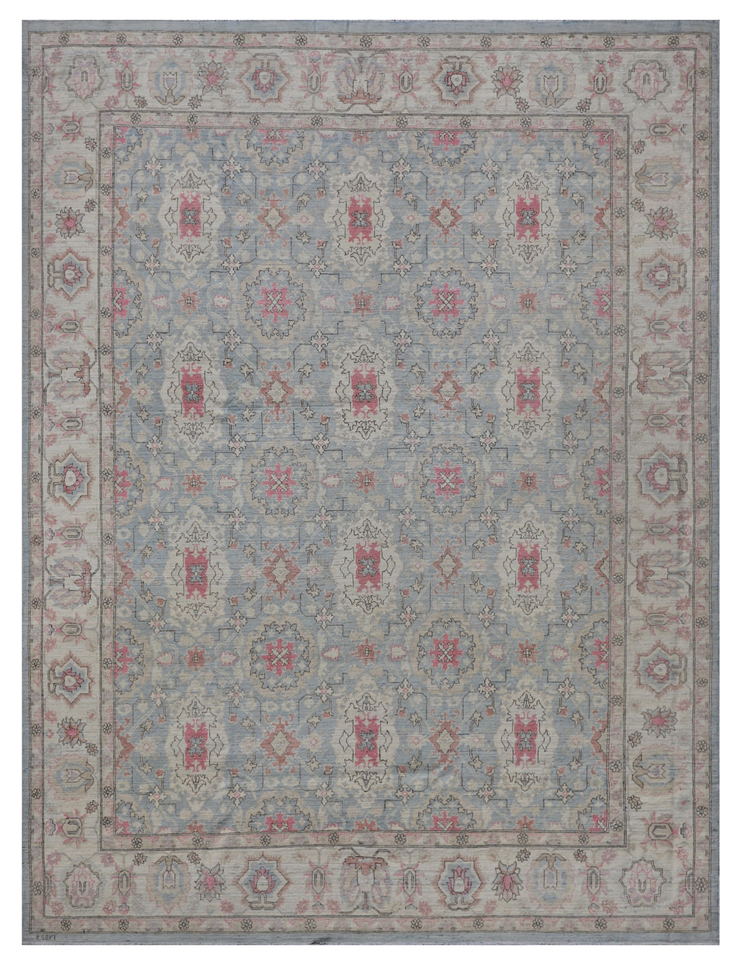 8'x10' Hand-Knotted Rug | Transitional Rug – Floral Agra Design