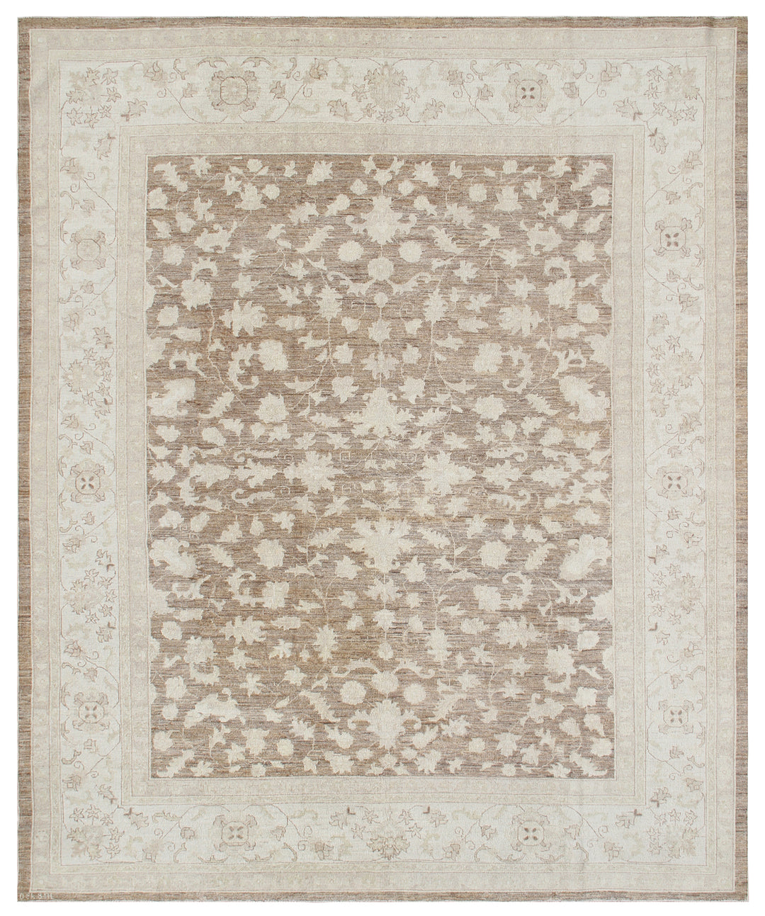 9'x11' Persian Rug | Floral | Ariana Transitional Floral Design Rug