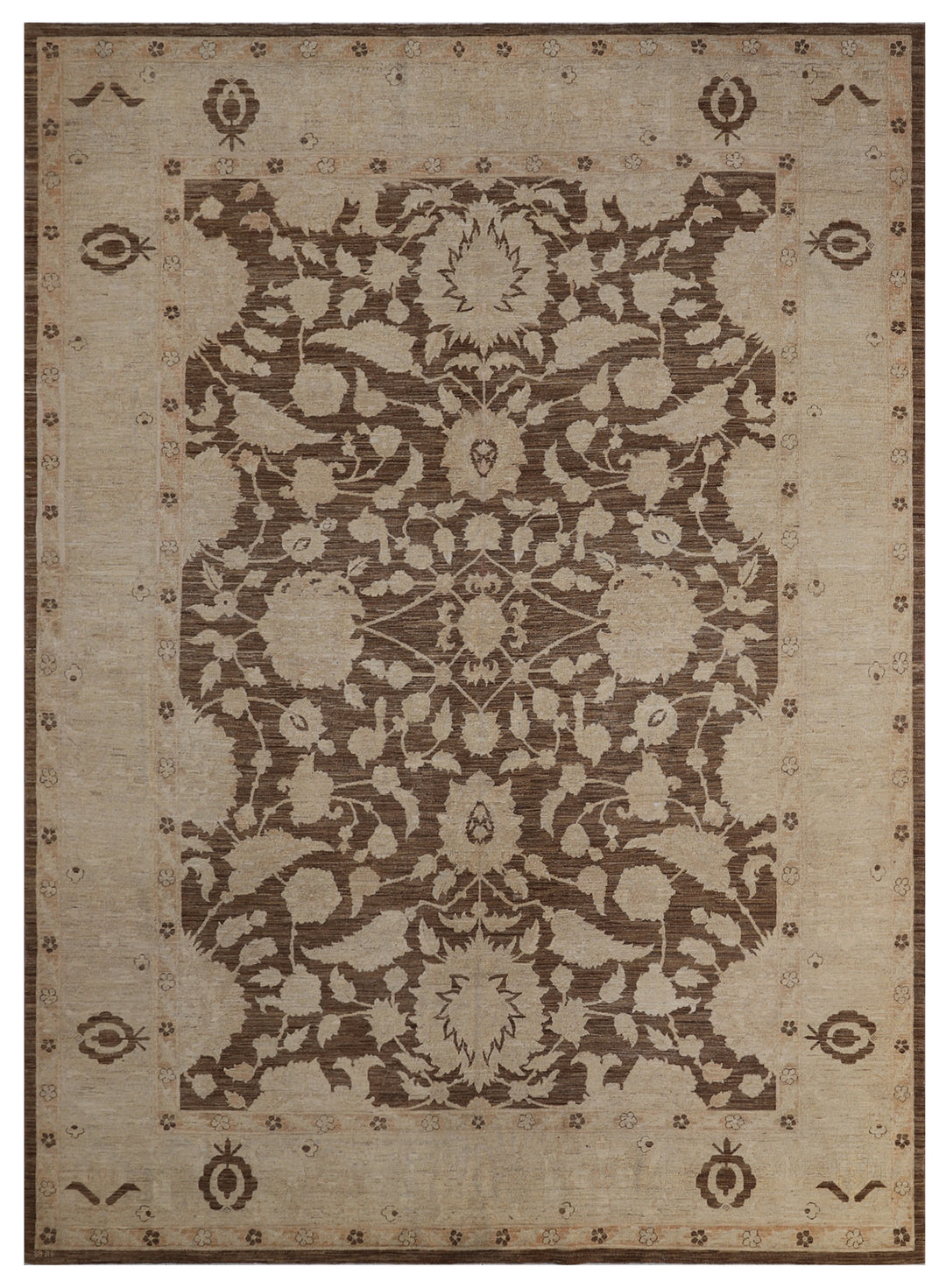 9'x12' Ariana Agra Traditional Brown Beige Rug