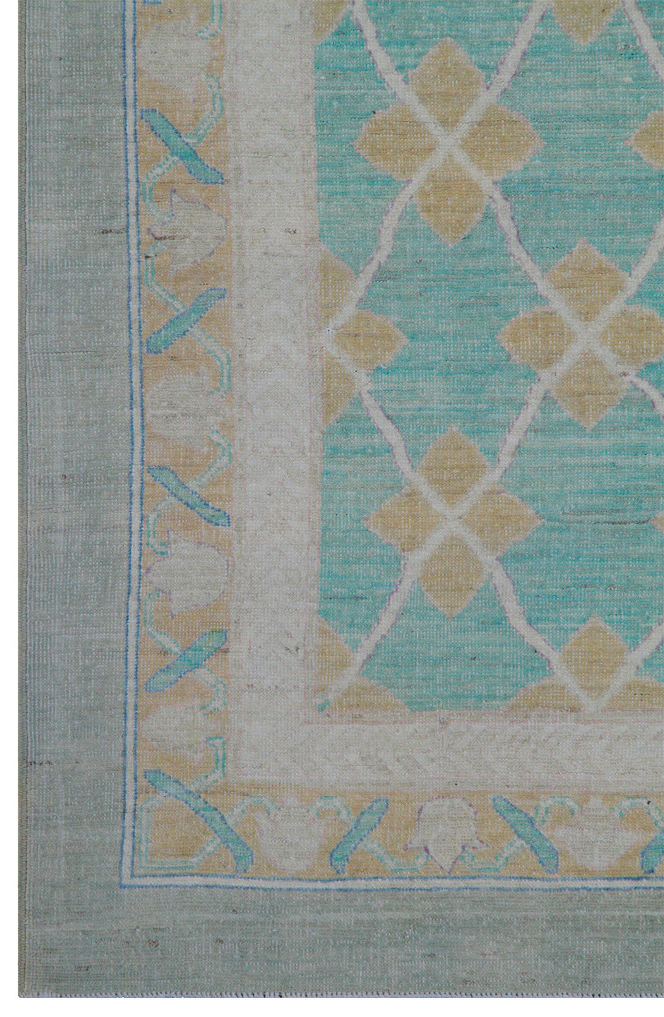 12'x17' Ariana Transitional Turkmen Hand-Knotted Rug