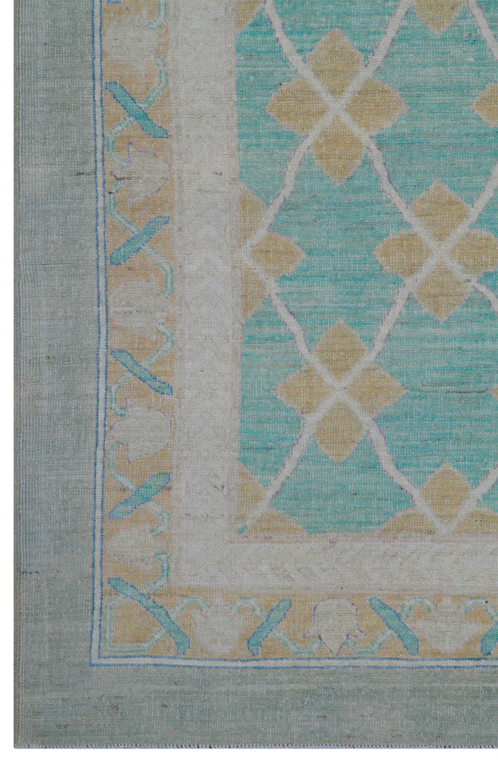 12'x17' Ariana Transitional Turkmen Hand-Knotted Rug