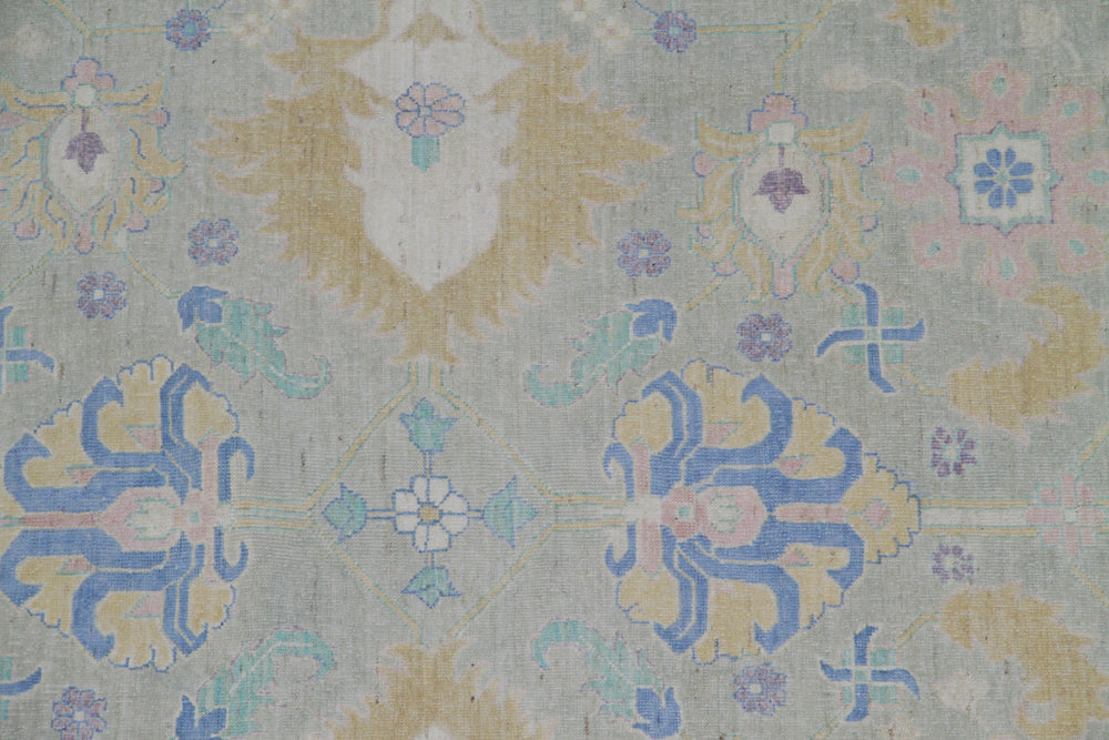 12'x17' Ariana Transitional Turkmen Hand-Knotted Rug